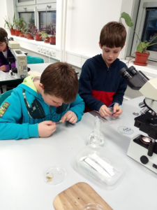 děti a mikroskop